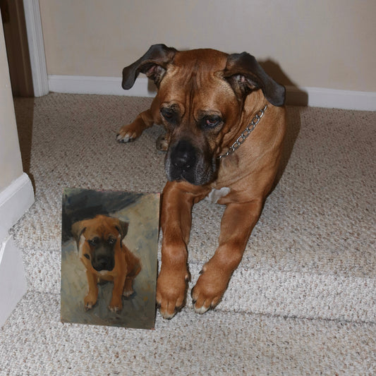 Studio Sized Pet Portrait