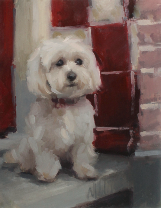 Little Lookout – The Sitting Guardian (Original Maltipoo Oil Painting)