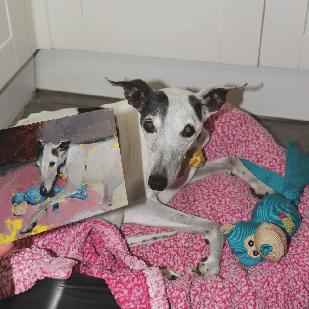A white and gray dog lies on a pink blanket next to a painted canvas showing the same dog, with a blue stuffed toy nearby in an indoor room.