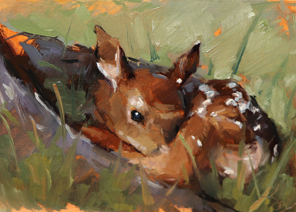 Study of a Sleeping Deer, 6x4" Oil on paper. Sold