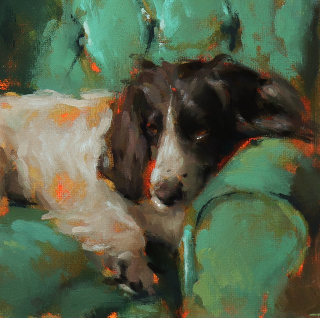 Impressionistic oil painting of a black and white dog resting on a green couch, rendered with expressive brushstrokes in green, teal, black, white, and orange highlights.