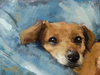 A close-up oil painting of a brown dog with dark eyes resting on a blue textured surface, with visible canvas texture and painterly brushstrokes throughout.