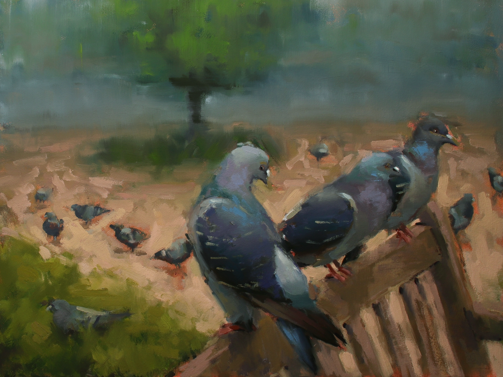 Two pigeons on a fence with a background of trees and ground.