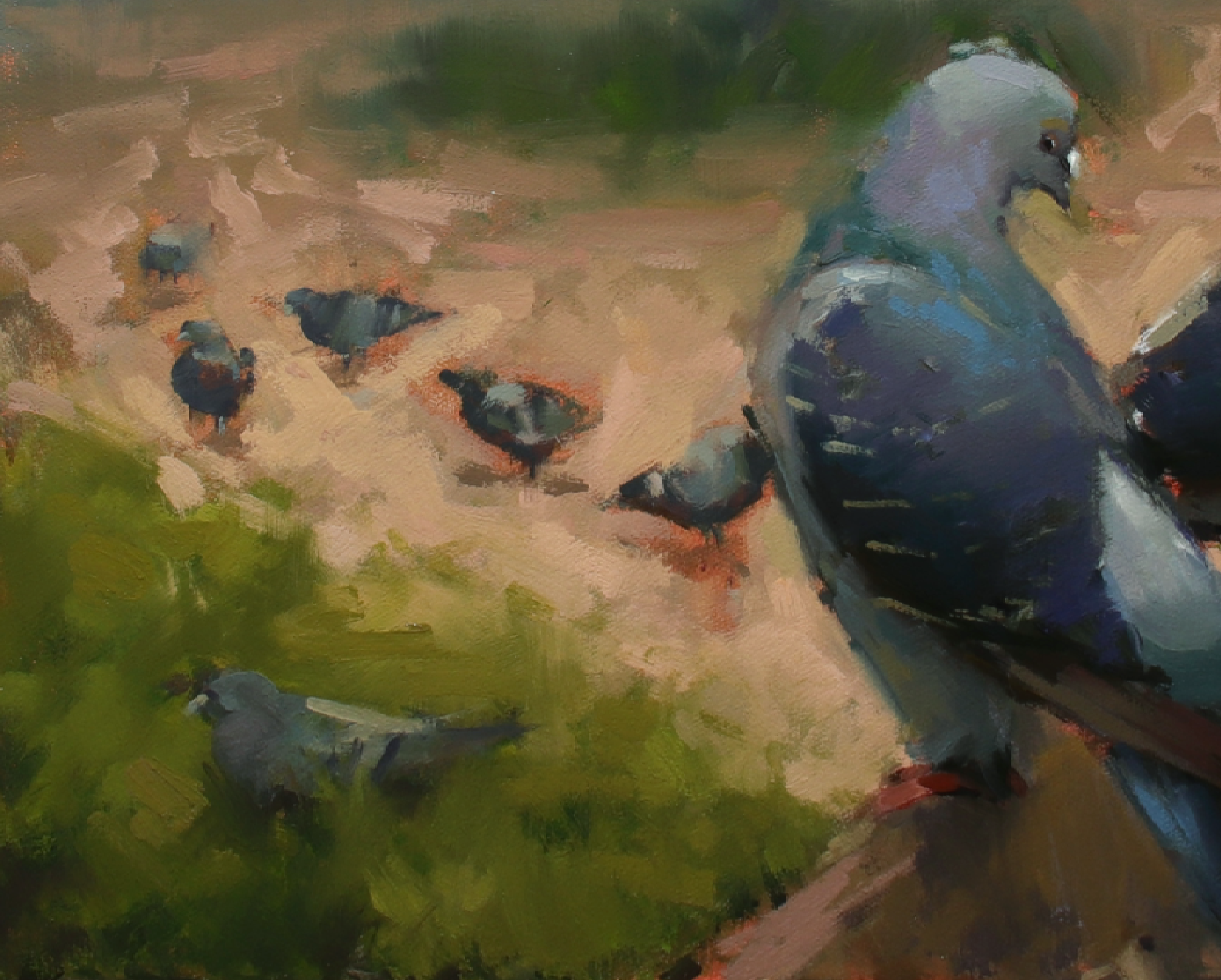 Impressionistic oil painting of several pigeons on a sunlit path, with a large pigeon in the right foreground and smaller birds scattered in the background.