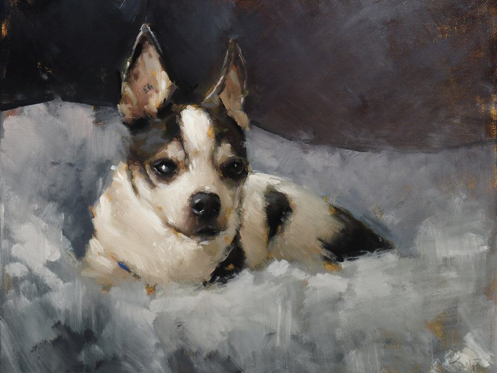 An impressionistic oil painting of a small black and white dog lying down, looking directly forward with a dark, moody background.