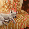 An impressionistic painting of a small white dog lying on a striped armchair with warm gold, beige, and pink brushstrokes.