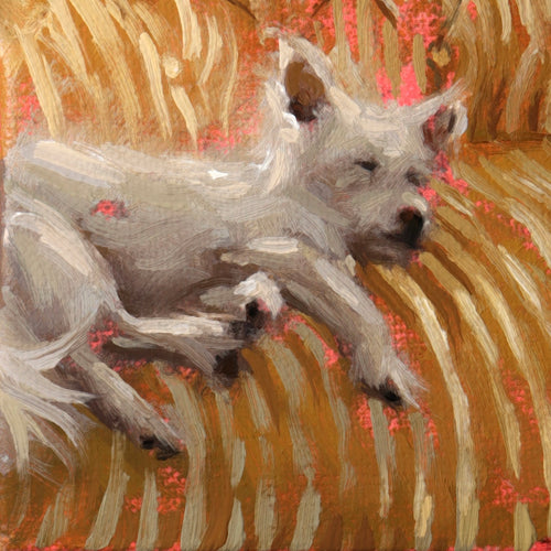 An impressionistic painting of a white dog lying down on a warm brown and gold background with pink accents.