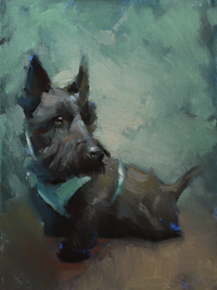The Bright One - Scottish Terrier, 8x10” Oil on canvas board