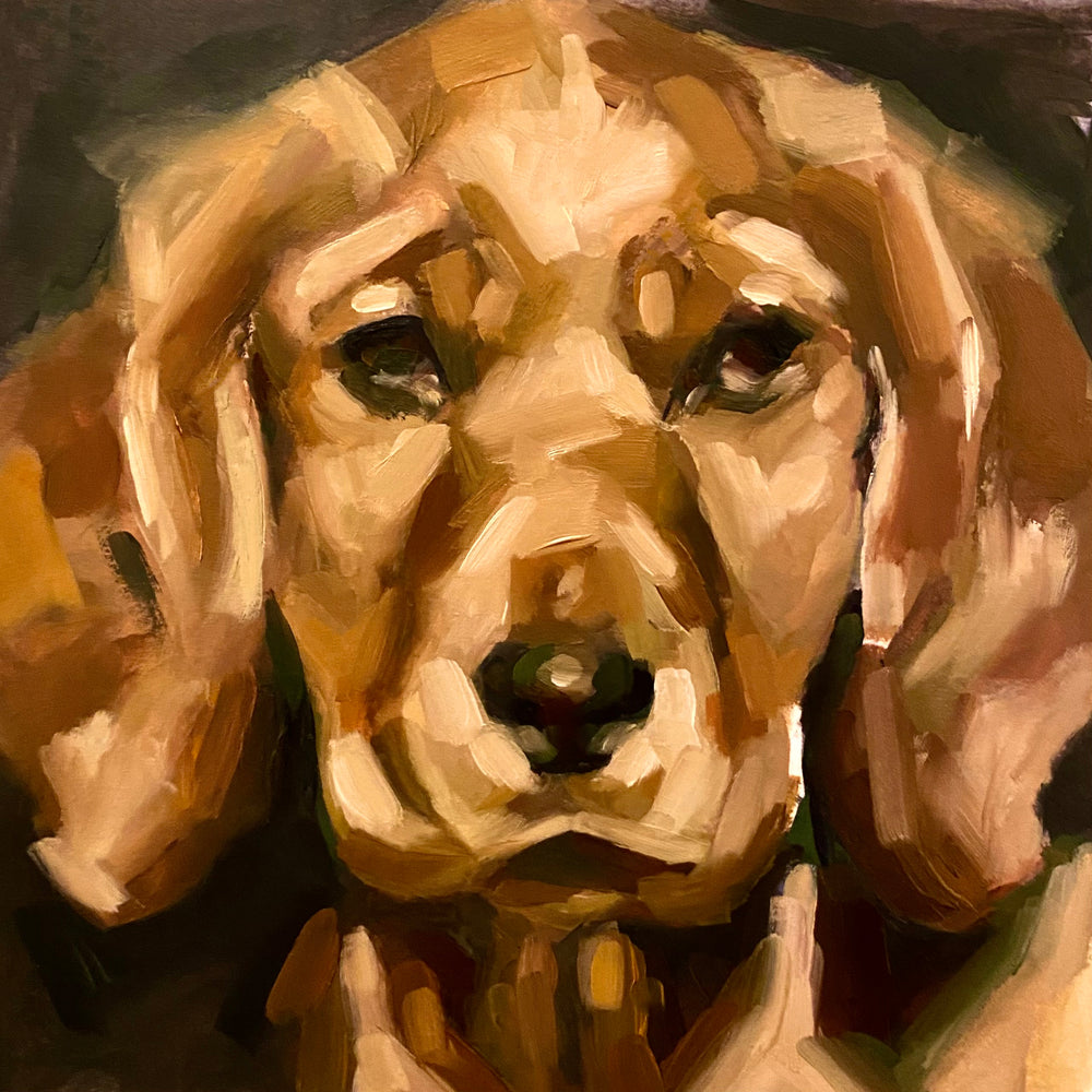 Artistic depiction of a dog's face with a focus on texture and color.