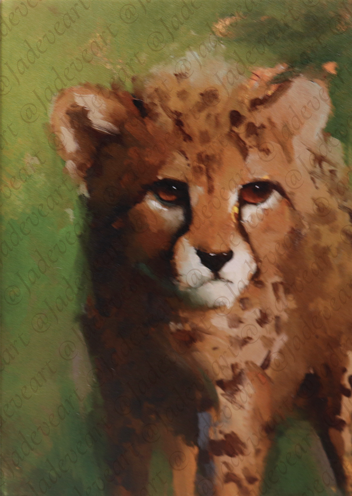 Animal Greeting Cards