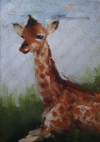 Animal Greeting Cards