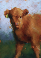 Animal Greeting Cards