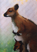 Animal Greeting Cards