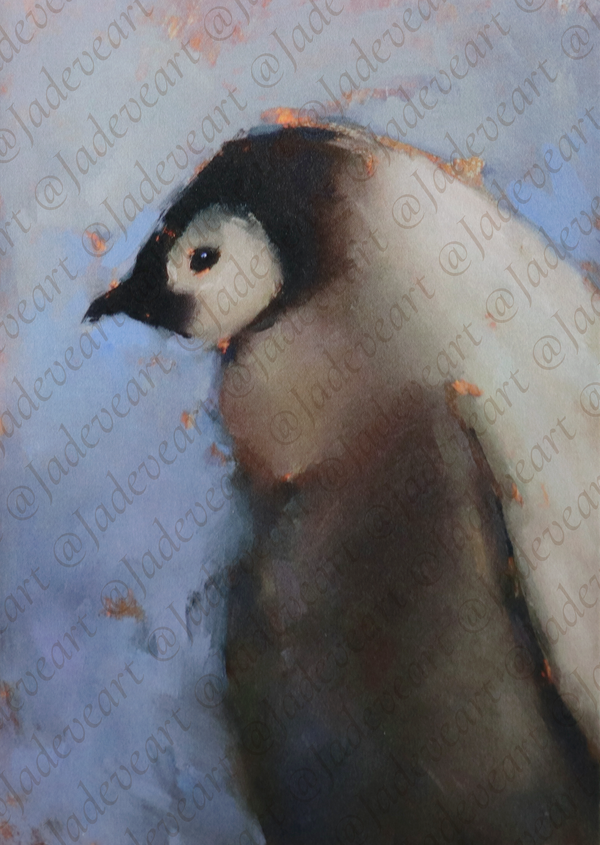 Animal Greeting Cards