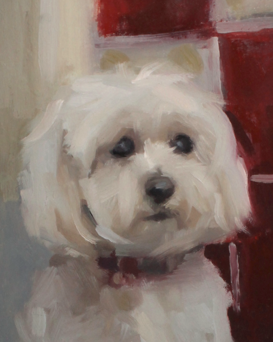 Maltipoo Dog Art Print 'Little Lookout'