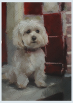 An oil painting of a small white fluffy dog, likely a Maltese, sitting in front of a red brick wall. The painting has a textured impasto brushstroke style, with a watermark overlay reading '@jadcoart'.