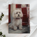 Painting of a small white dog with a red checkered curtain in the background