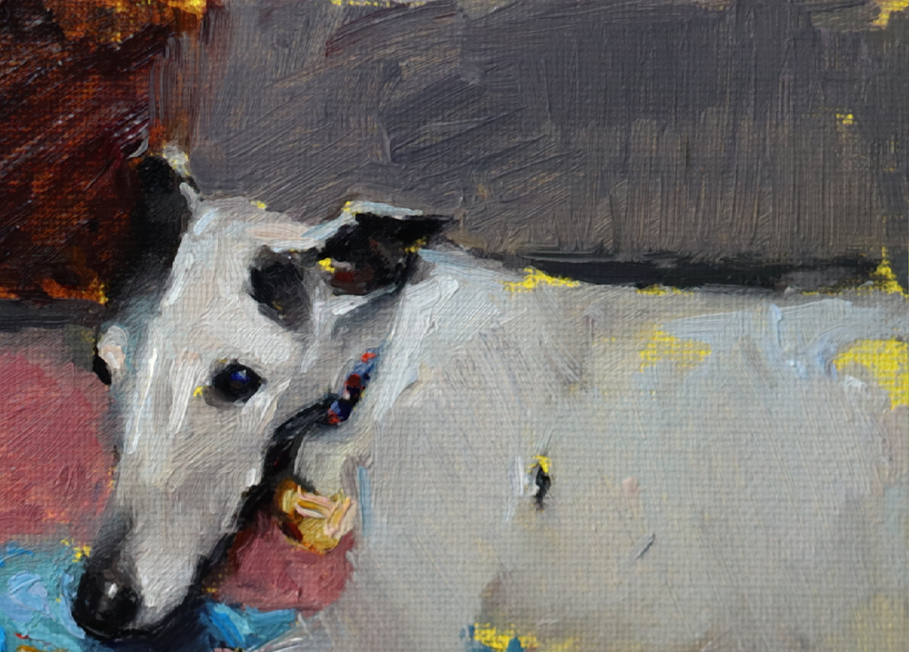 An impressionistic oil painting of a white and black dog, likely an Italian Greyhound, rendered with textured brushstrokes in grey, white, black, yellow, blue, and red.