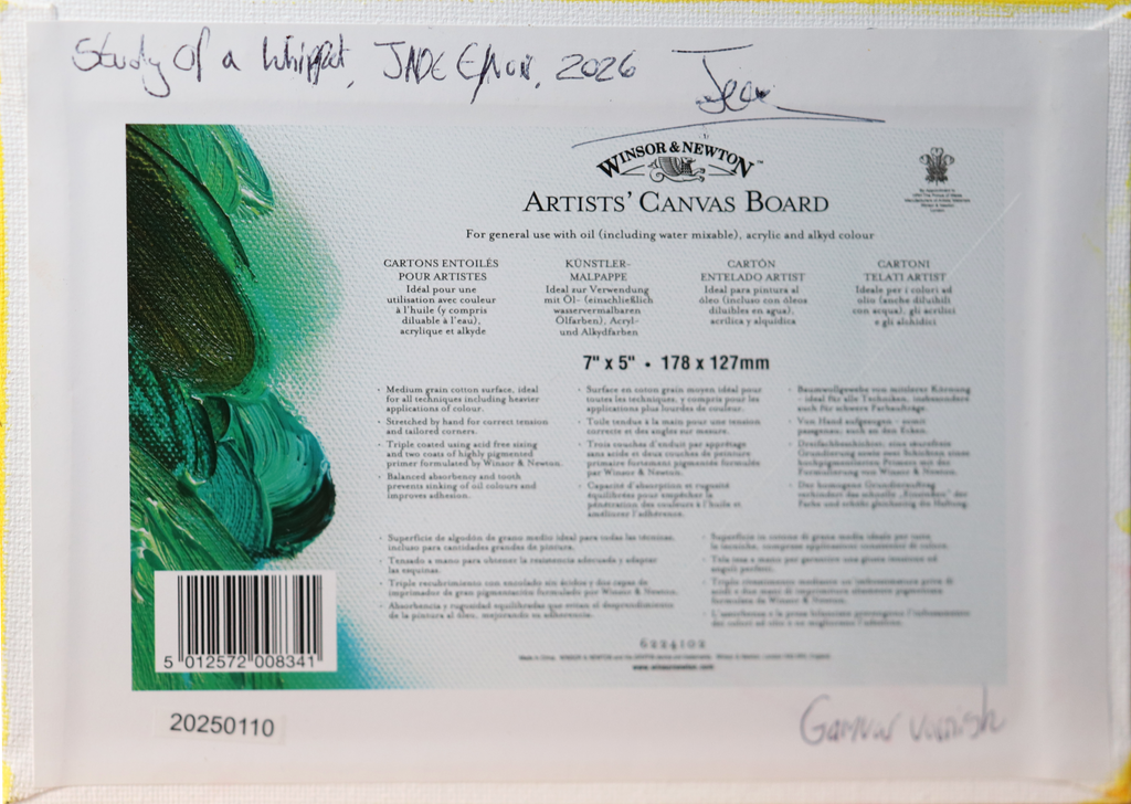 Back side of a Winsor & Newton Artists' Canvas Board sheet, showing product information, barcode, and a green paint swatch on a white package.