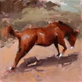Toffee Horse