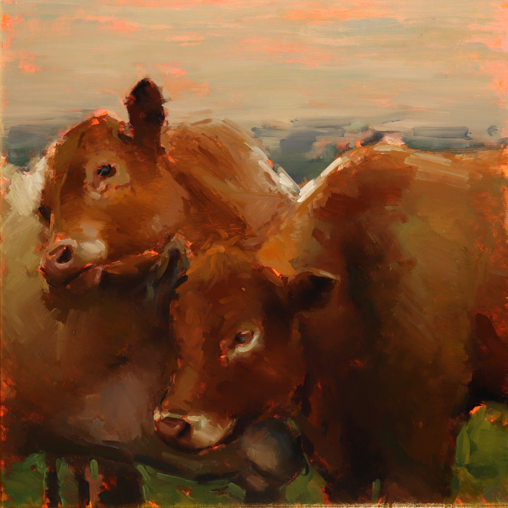 A framed oil painting depicting two brown cows standing close together in an outdoor landscape under a soft peach and gray sky, enclosed in a dark brown wooden frame with a gold inner border.