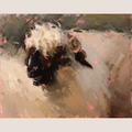 Valais Blacknose Sheep Study