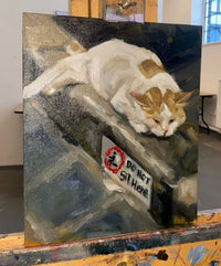 Contrary Cat, 8x12" Oil on canvas board